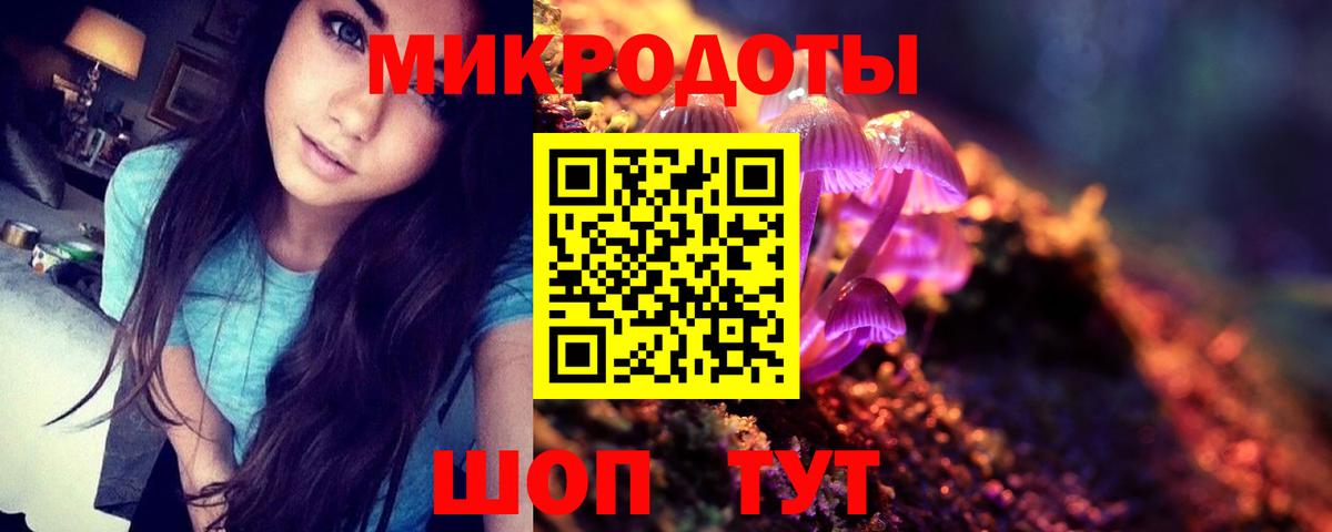 купить наркотик  Вход с VPN  Кизилюрт  Псилоцибиновые грибы прущие грибы 